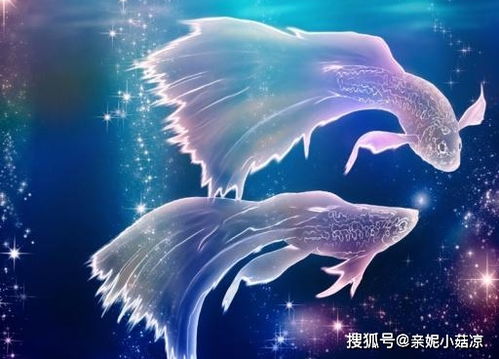 婚姻生活：每天都在演情景喜剧
