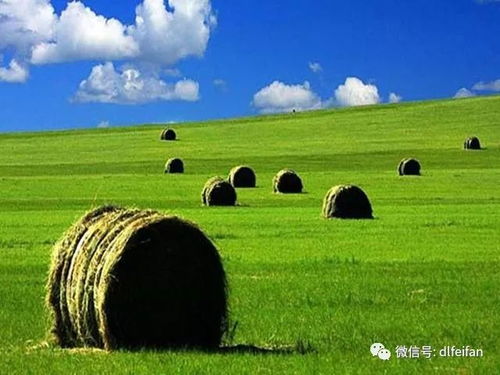草原风情，多元交融，内蒙古文化盛宴