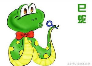将一纸风行打一生肖为生肖，是哪个生肖呢？