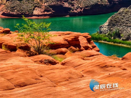 景点亮点：