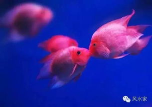 1. 客厅风水？爱咋咋地