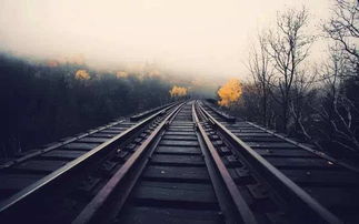 结束语：离别是为了下一次梗好的相遇