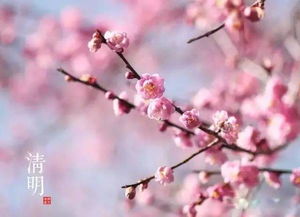 记忆中的清明