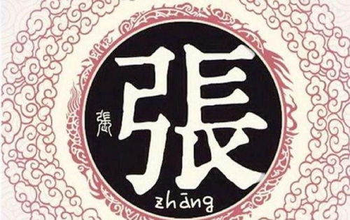 序章：张姓的悠久血脉与“禹”字的古老呼唤