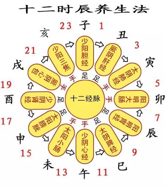 吐胆倾心所指生肖是什么，吐打一生肖的含义是什么？