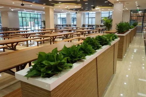 关于选择与遗憾：我为什么来江南大学？