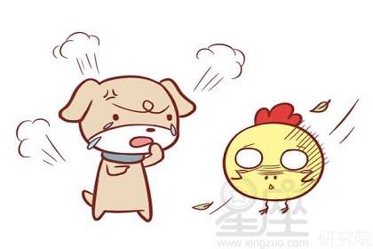 属狗与属猪的婚姻及共事关系如何？两者能否和谐相处？