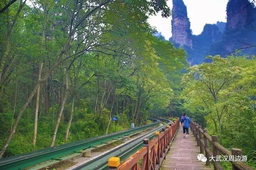 三、 探秘山谷里的古老传说