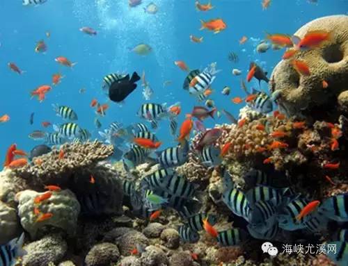 独家爆料：这些项目简直逆天！