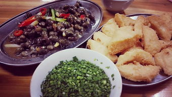 广州—汕头一日狂吃潮汕美食大乱炖