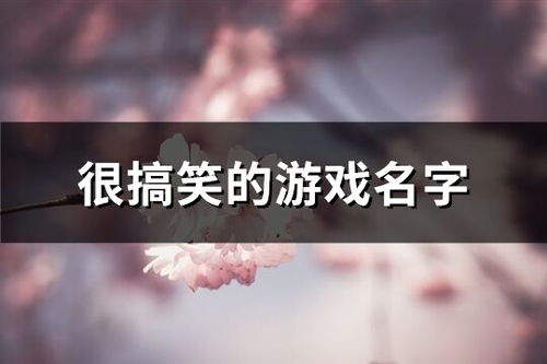 一、 直奔主题型：