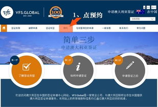 四、在线预约——MEXITEL系统到底是啥玩意儿？