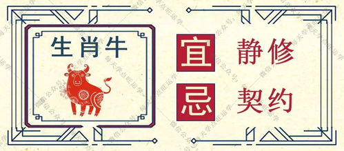 2025年1月2日属狗人运势如何？