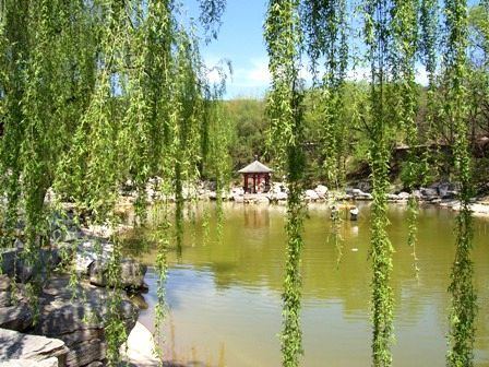 春日暖阳下的那一抹粉红：我与观音湖的不期而遇