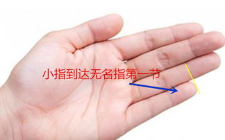 2-2 龙：自信爆棚，却简单自负
