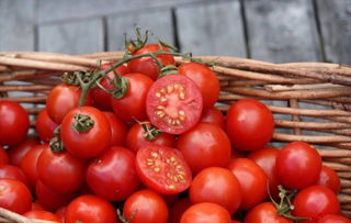 生肖与血果相冲