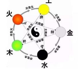 算命的都是骗子？这样算五行准到哭！