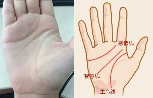 1．心理状态学角度：较大脑激活区爆炸式扩张