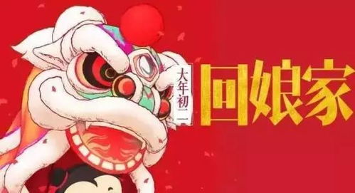 初几回娘家，传统回门新风尚，融合古今潮流！