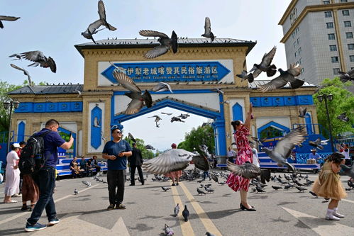 5. 伊宁市区：美食与腹泻的双重体验