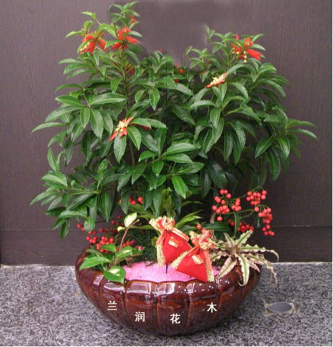 1. 葫芦：福禄还是葫芦娃？