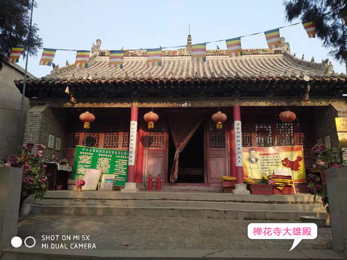 乱入：随机笑话