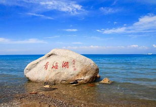 注意事项：