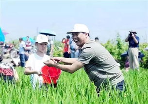 Day4：喜洲稻田，差点被当成稻草人