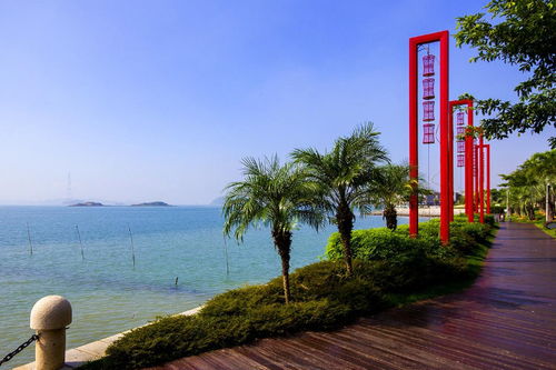 厦门海沧湾公园：一场不靠谱的天然休闲之旅