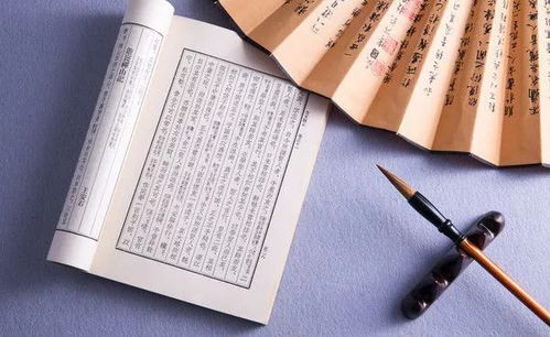 四年级语文书的惊魂一刻