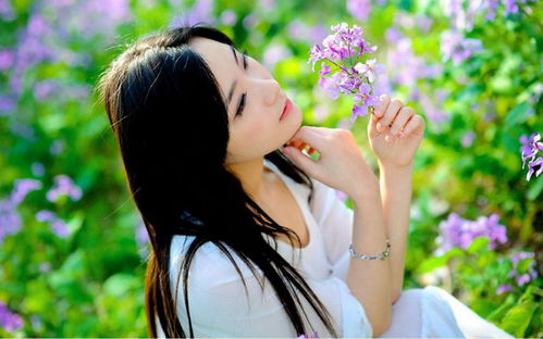 白羊女 - 太阳女神降临！