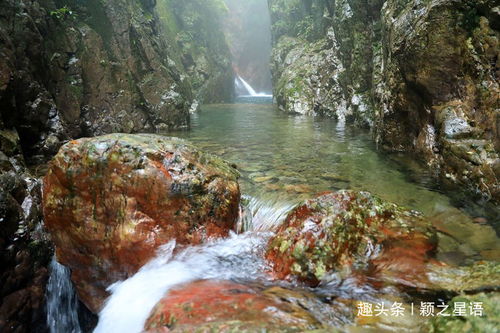 终章：从泉水到较大润发， 再回归现实