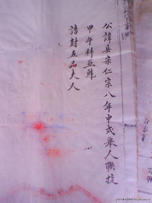 潘氏迁徙较大剧情