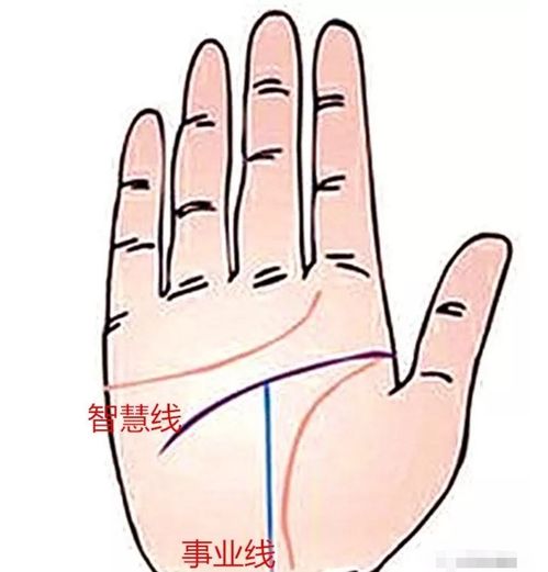 风水在手上的作用,风水学手相