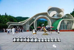 都江堰熊猫谷门票市场价格详情