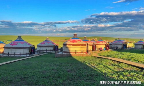 为什么选择丹东草原？