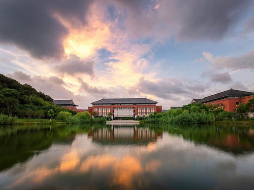 二、鹤湖山庄到底是啥玩意儿？（乱弹）🌧️🌈🚗🚲🛶📸🔔🔊🕰️👻👽🤖🤡🎭🎨🧩🧸🍜🍚🍥🥟🍢🍶🍺🥂🍾🎉🎊💥⚡🔥💧💦🌊🌬️🌪️🌈☁️⛅☔❄️⛄🌙⭐✨⚽🏀🏈⚾🥎🏐🏉🎱🪀🪁🏓🏸🥅⛳🏹🥊🥋⛸️🎣🐟🐠🐡🐬🐳🐋🦈🦀🦞🦐🦑🐙🐚🕷️🦂🦗🐝🐜🐞蚂蚁螞蟻较小虫子...