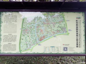限行措施详解