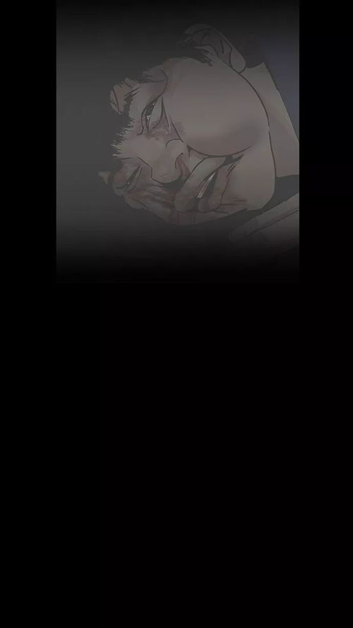 生肖解读