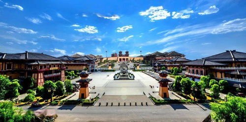 襄阳万山梅园：一场让人又爱又恨的赏梅之旅