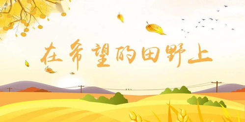 所谓的互动体验其实就是让你干苦力