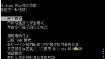 电脑的失忆症：数字时代的乡愁