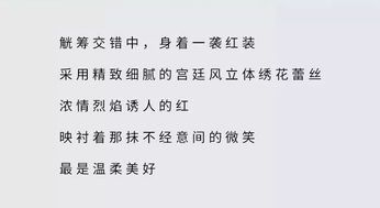 3. 志向型