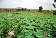 1. 优惠？不如说是智商税