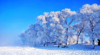 漠河，冰雪之约，谁与共赏？