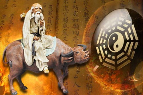 龙年大佬专属攻略