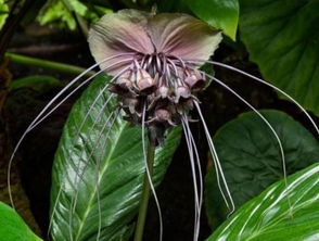 孔却这哥们儿的命盘肯定乱套了