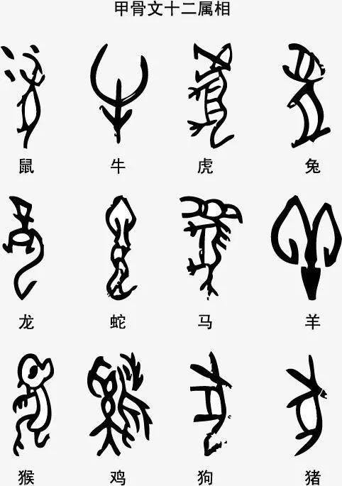 赠字对应的生肖是什么？这个生肖的动物特点有哪些？