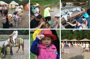 救命啊！我再也不要跟风去热门景点当冤种了