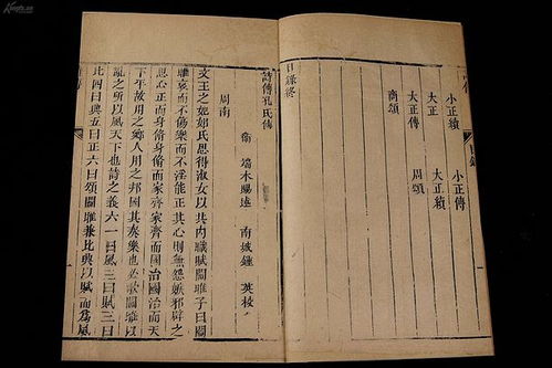 袁姓男宝的五行大乱斗——从八字到命运的七彩拼图